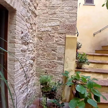 Centro Apartamento *